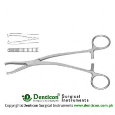 Dingmann Catrilage Seizing Forcep Stainless Steel, 18.5 cm - 7 1/4"